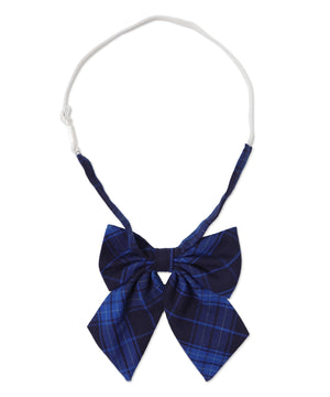 ブルーチェック2