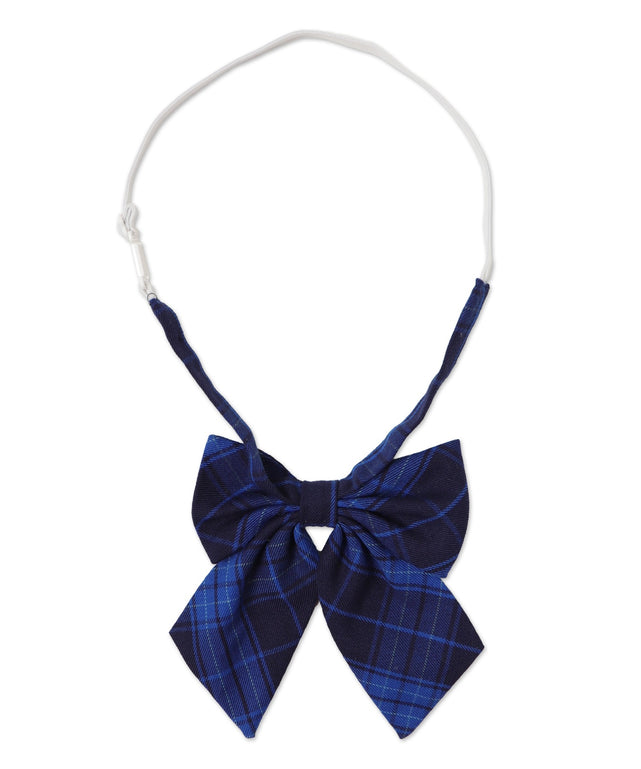 ブルーチェック2