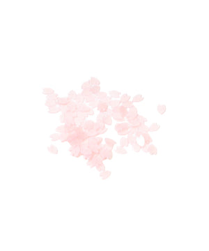 ぬいお花見セット（カフェ）