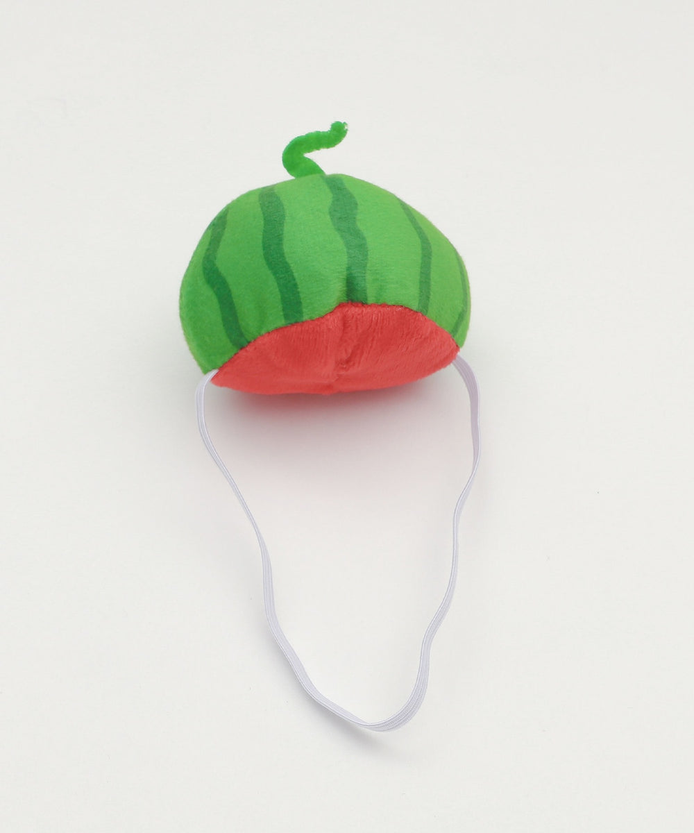 ぬいすいか着ぐるみ15cm