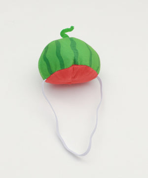 ぬいすいか着ぐるみ15cm