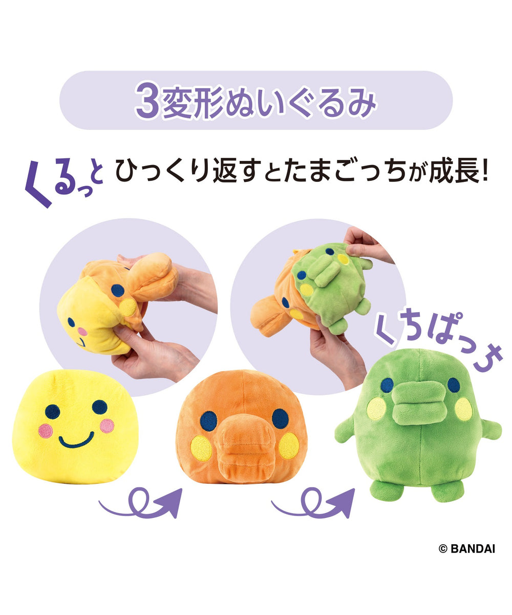 柄2(くちぱっち)