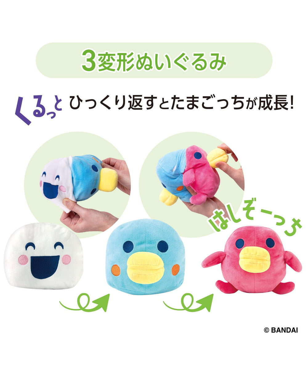 柄4(はしぞーっち)