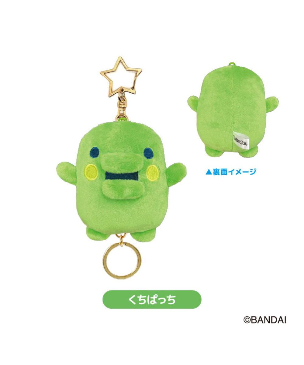 柄3:くちぱっち