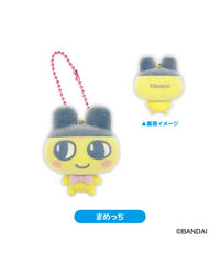 柄1：まめっち / F