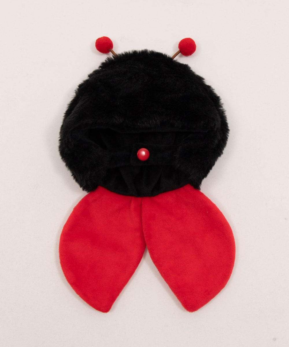 ぬいてんとう虫セット20cm