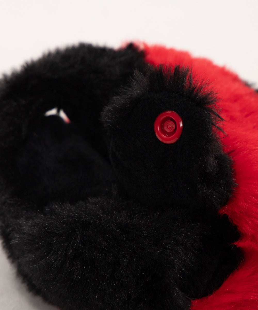 ぬいてんとう虫セット20cm