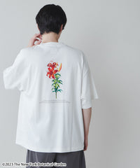 柄２ / M