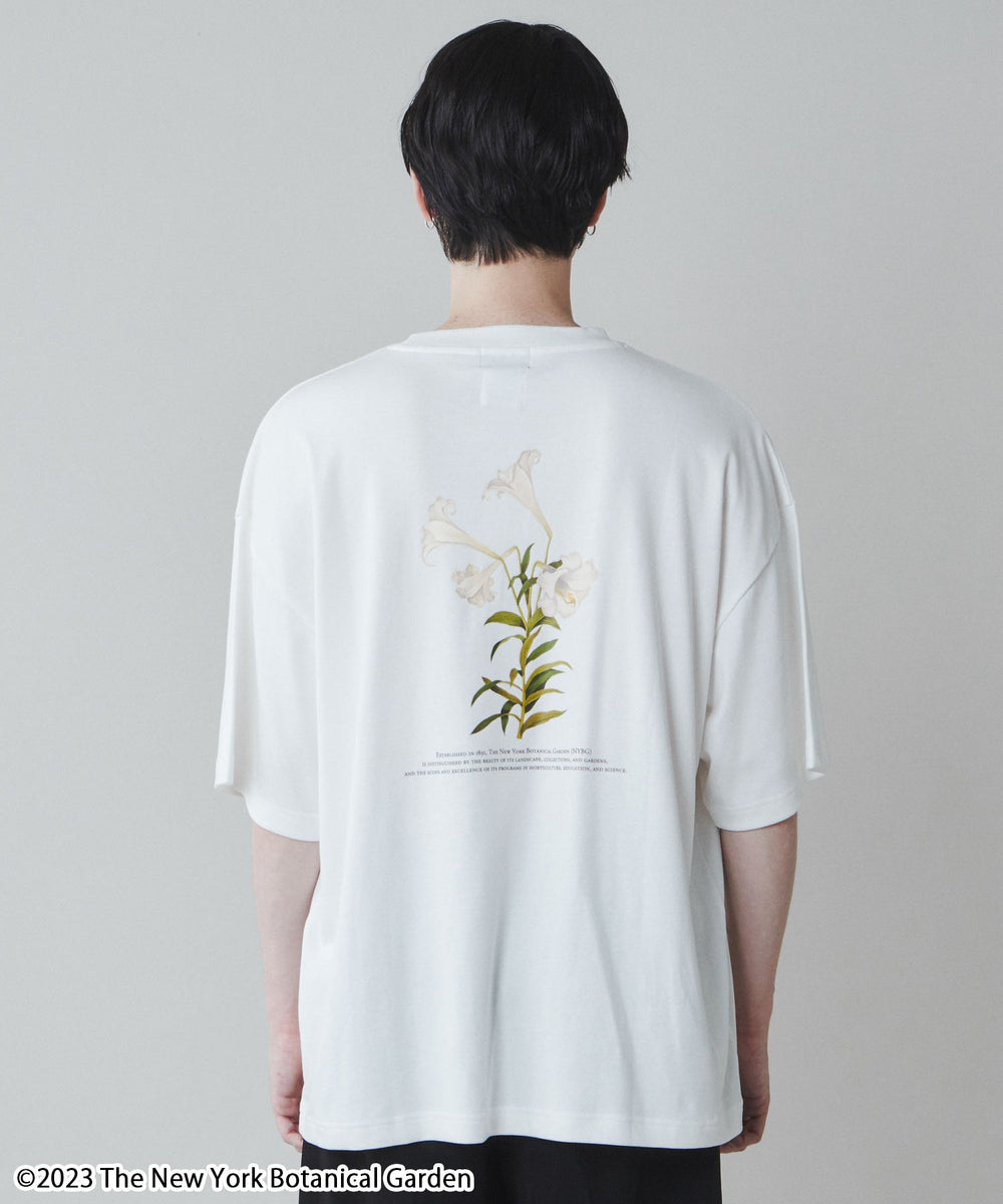 柄3 モデル：180cm L着用