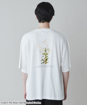 柄3 モデル：180cm L着用