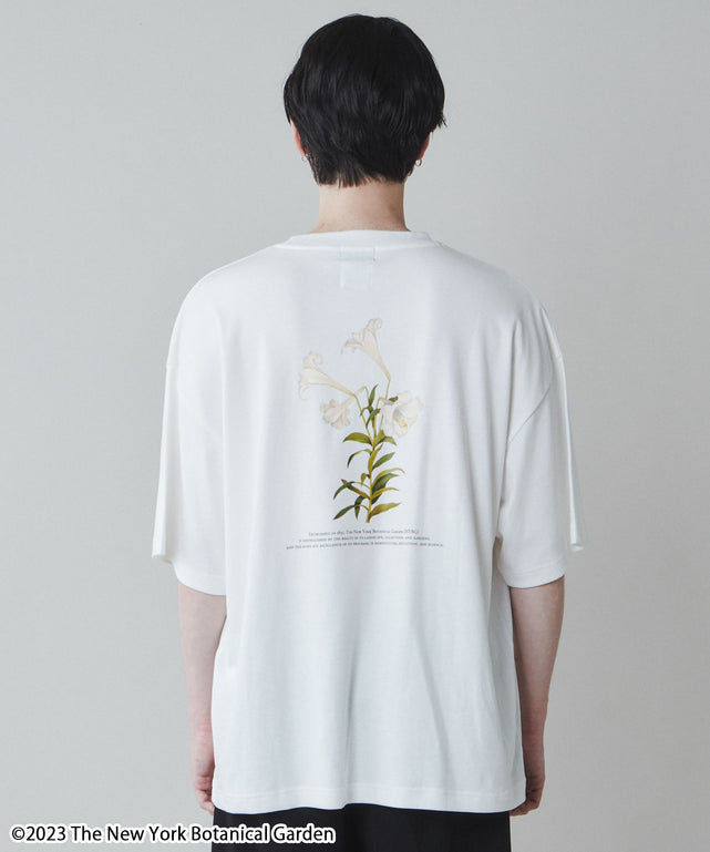 柄3 モデル：180cm L着用