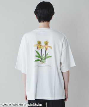 柄4 モデル：180cm L着用