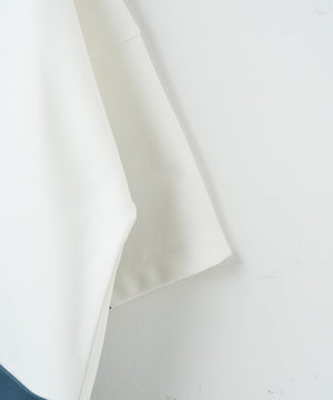 ドルマンポンチフードT（S）