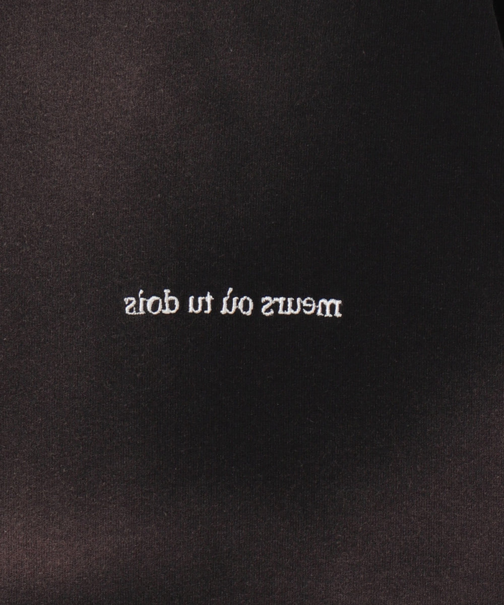 スプレーブリーチT（LS）