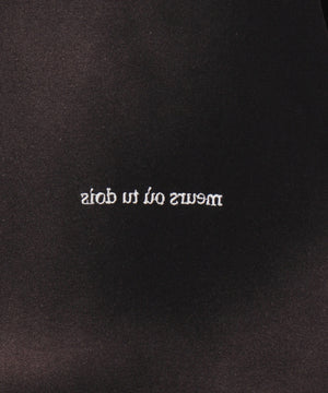 スプレーブリーチT（LS）