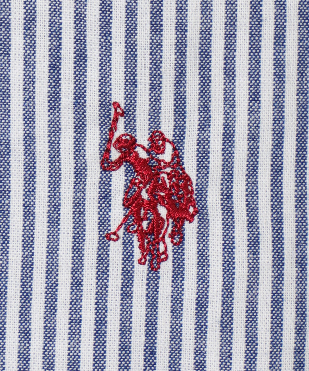 ブルーストライプ