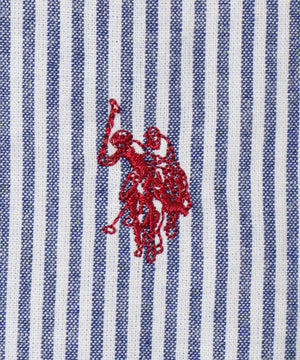 ブルーストライプ