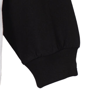 VISIONジャンクフードラグランLST