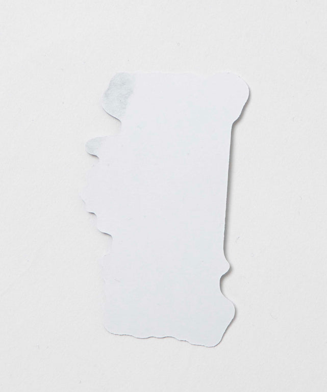 別注Pirakoステッカー