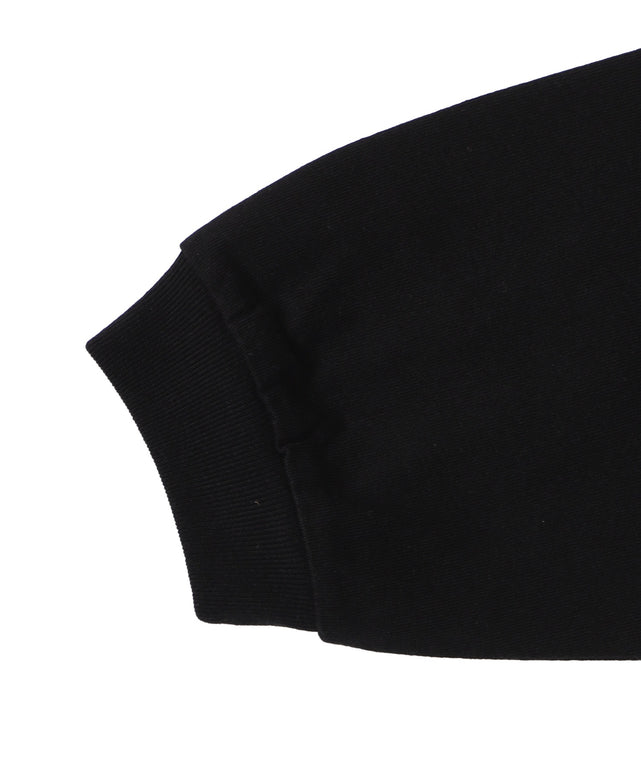 別注BENDAVISワンポイントT（LS）