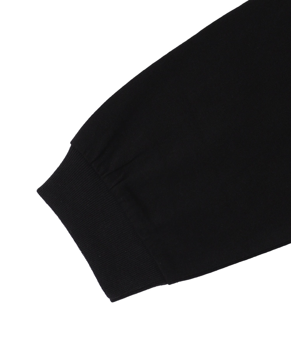 別注BENDAVISアンサンブルグラフィックT