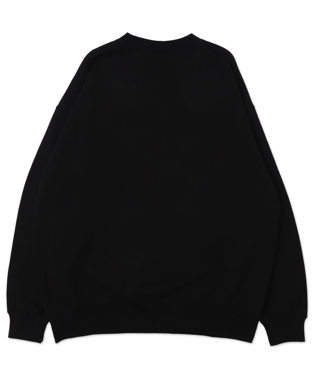 別注BENDAVISバブルロゴプルオーバー