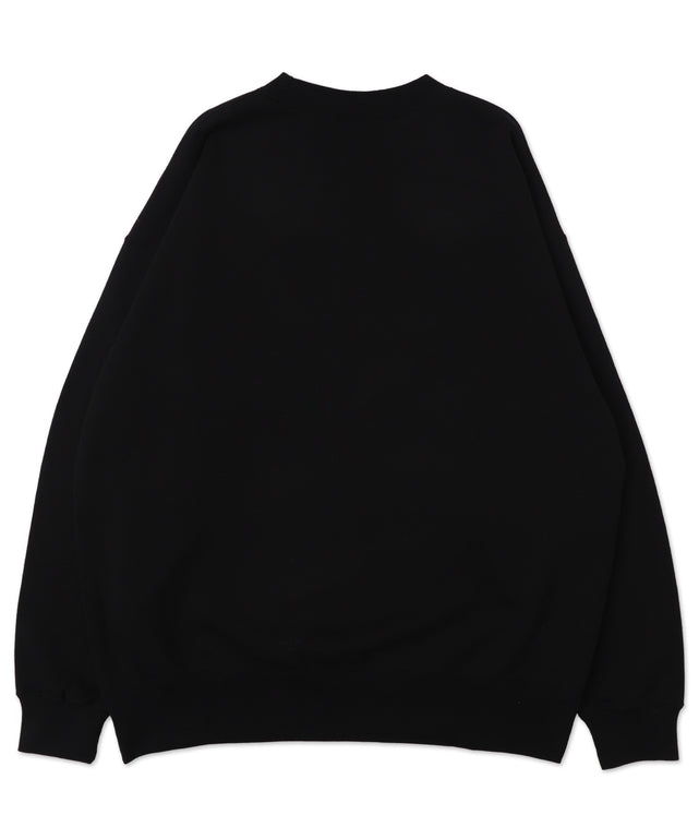 別注BENDAVISバブルロゴプルオーバー