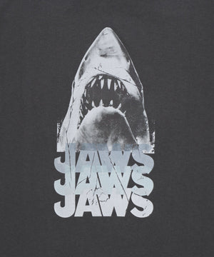 JAWSグラフィックT（S）