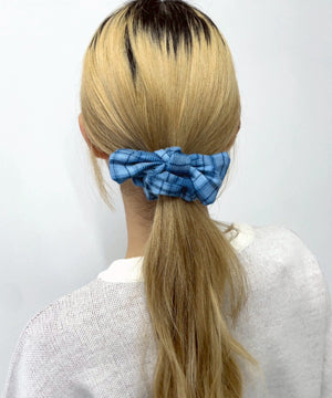 ブルーチェック１