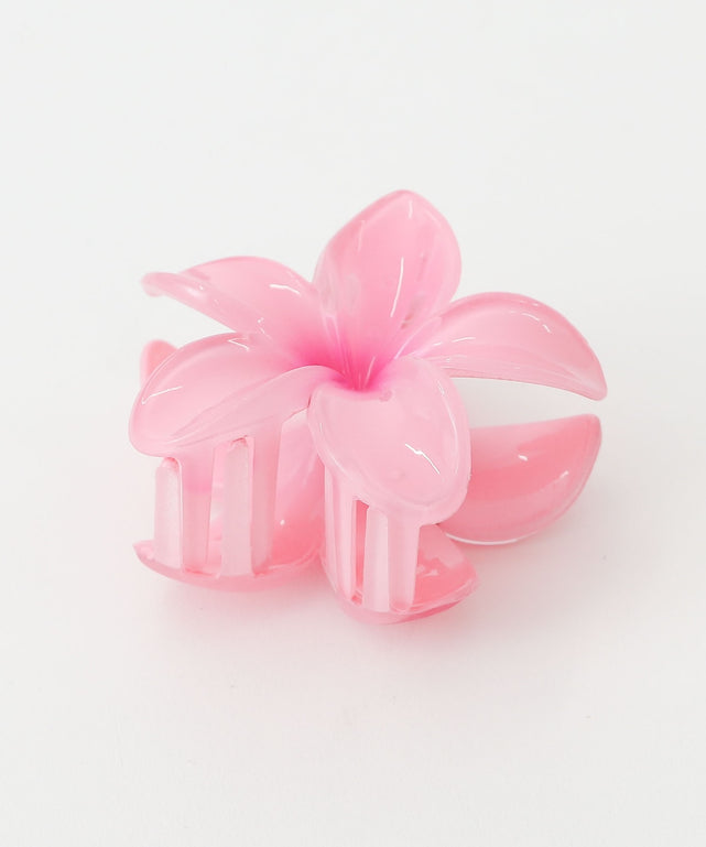 Lトロピカルフラワーバンス