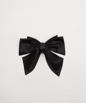 LBIGリボンバンス