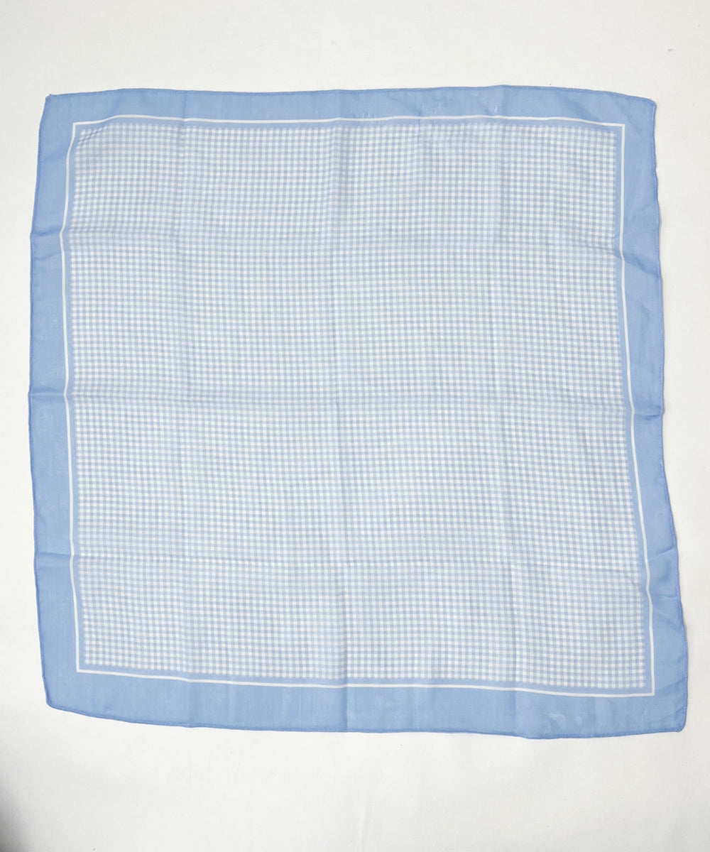 ブルーチェック1