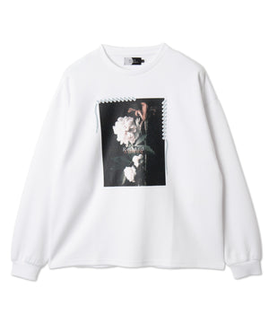 ホワイトソノタ