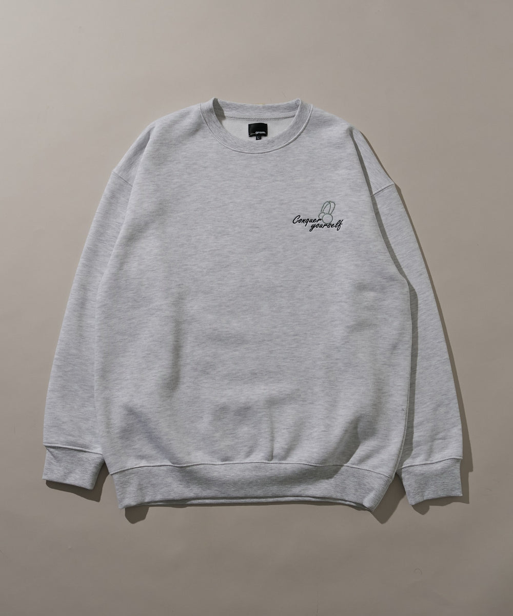 アッシュグレー（表）