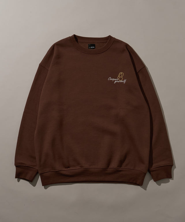 ブラウン（表）