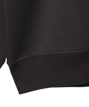 アーチバックロゴグラフィックプルオーバー