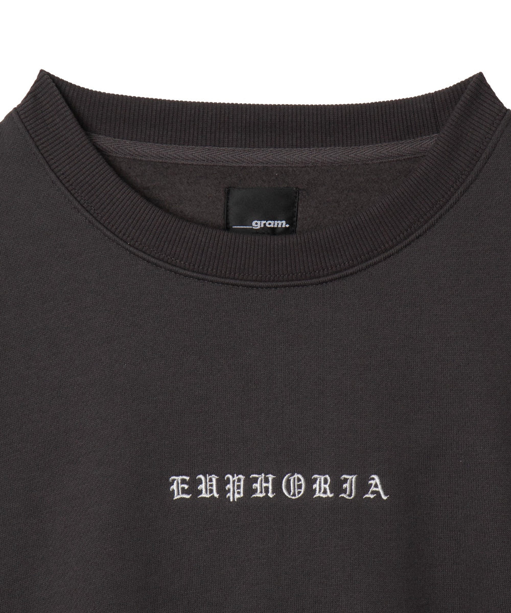 アーチバックロゴグラフィックプルオーバー