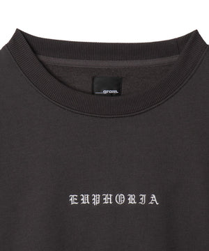 アーチバックロゴグラフィックプルオーバー