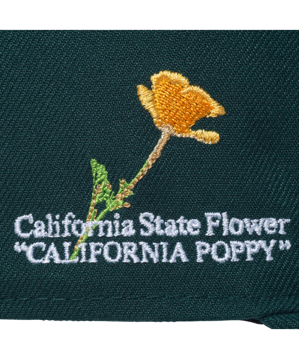 ダークグリーン(柄3)