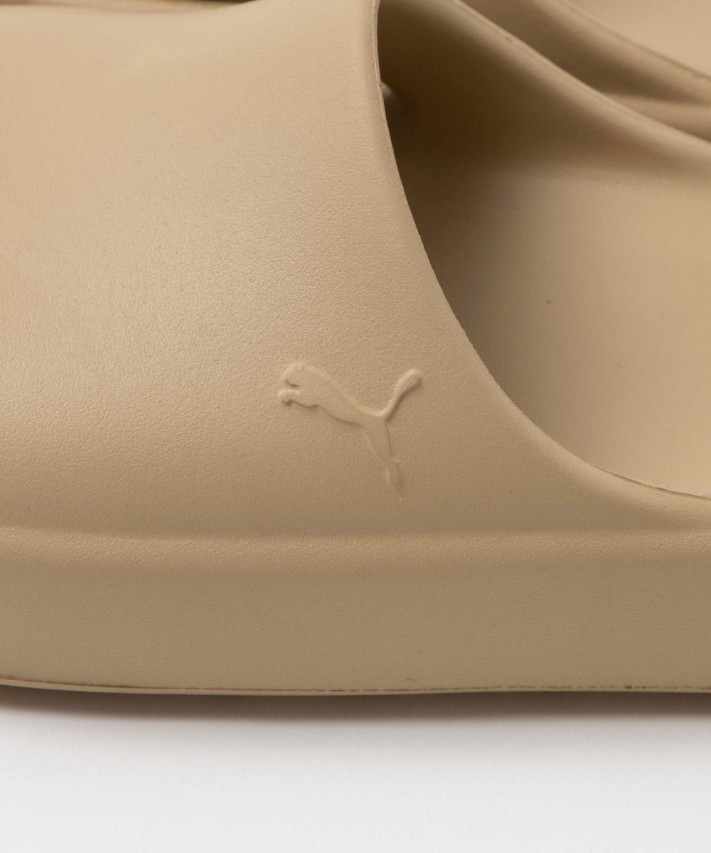 シブイキャット