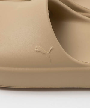 シブイキャット