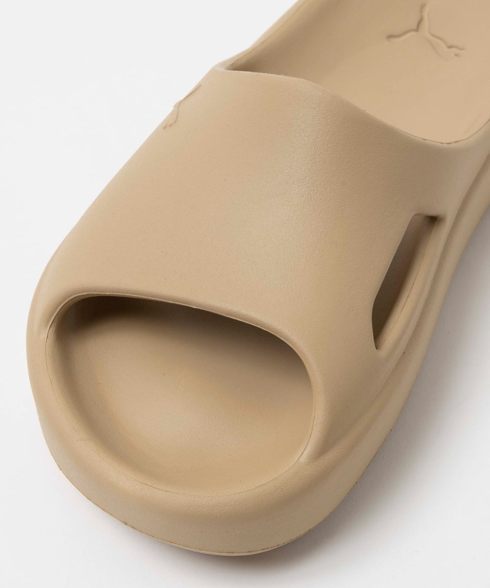 シブイキャット