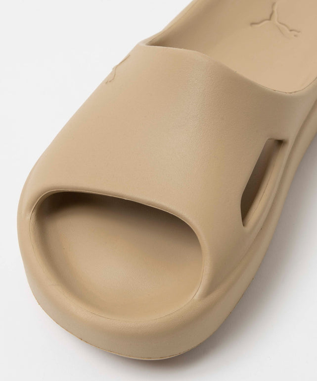 シブイキャット