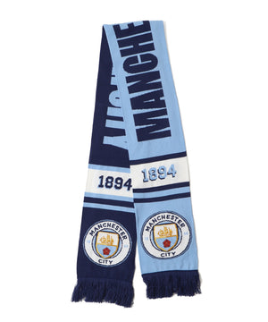 チームロゴマフラー