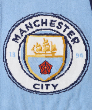 チームロゴマフラー