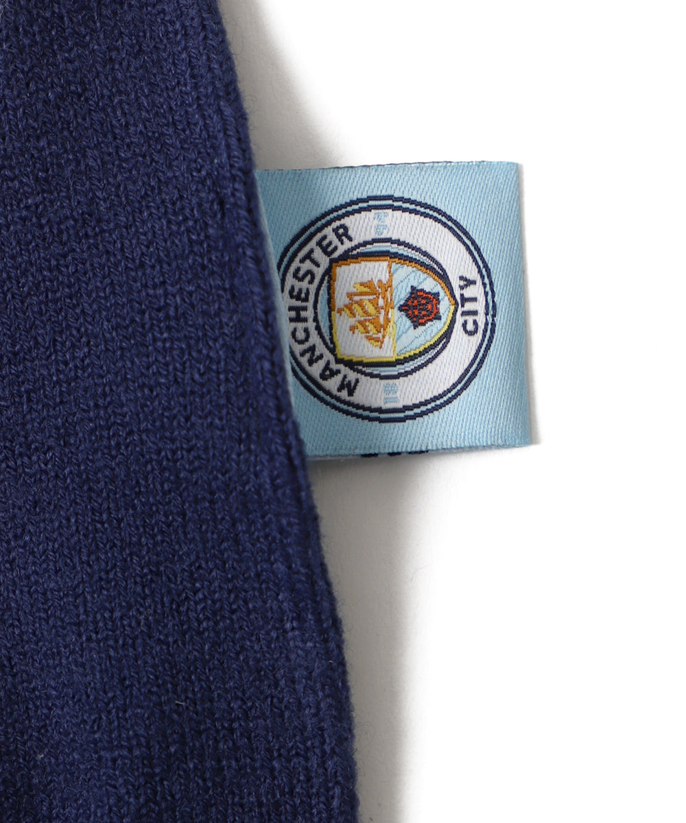 チームロゴマフラー