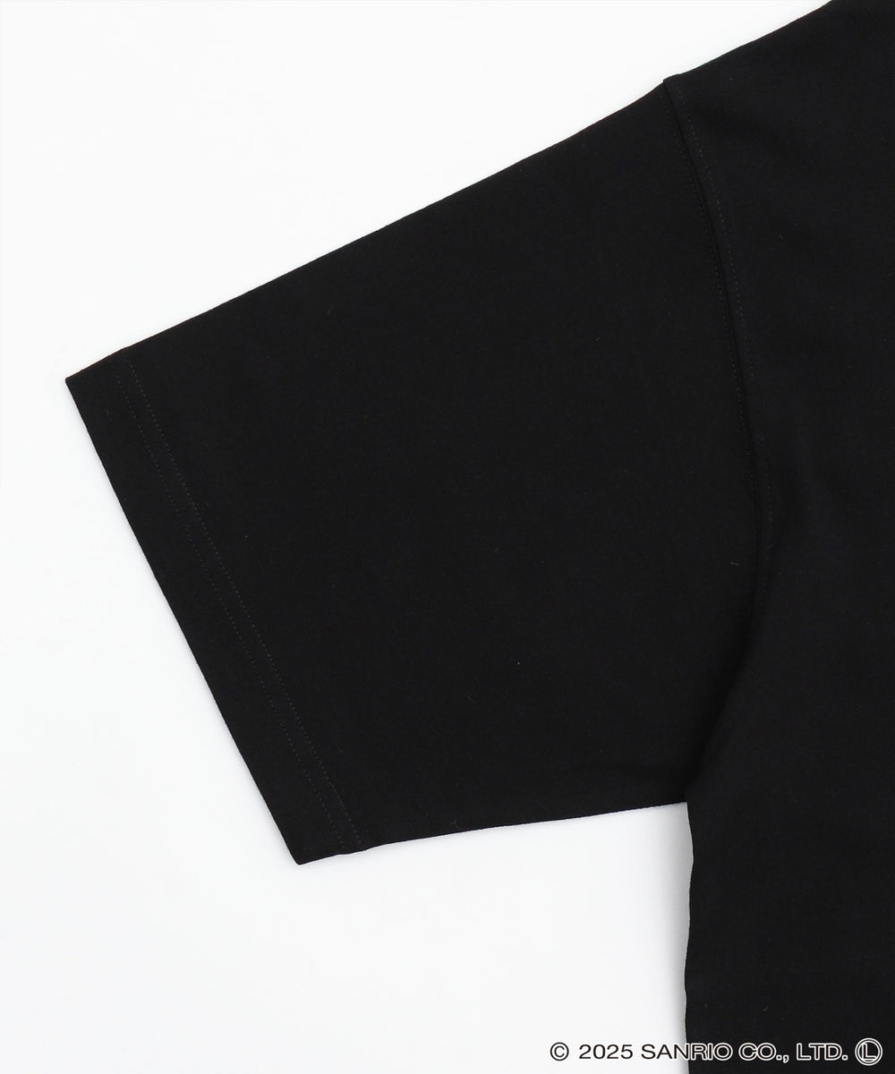 VISION　サンリオキャラクターズT