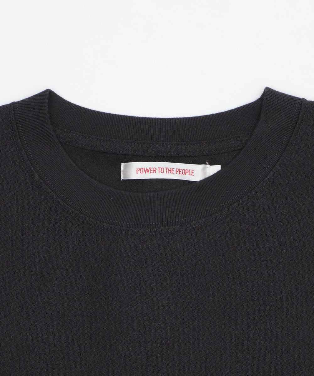 JSシバイヌ　シシュウT