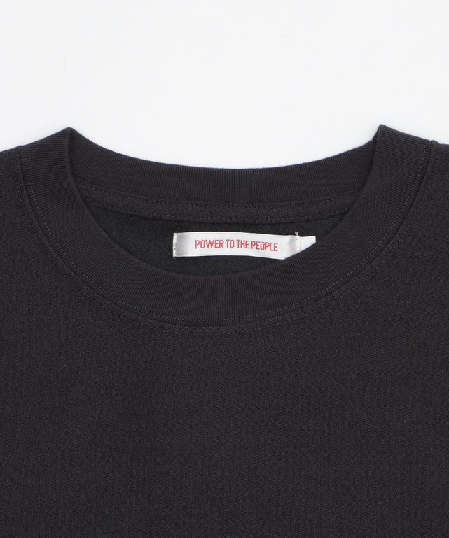 JSシバイヌ　シシュウT