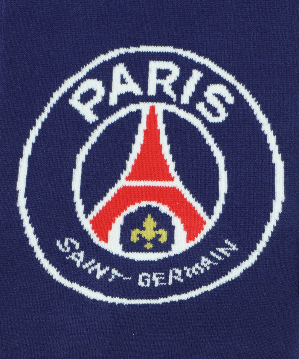 チームロゴマフラー